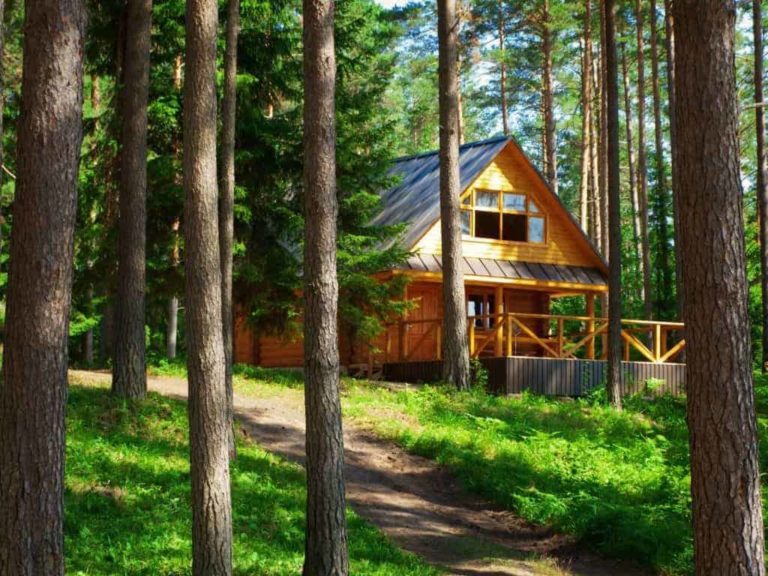 ¿Son las cabañas de madera más baratas de construir que las casas?